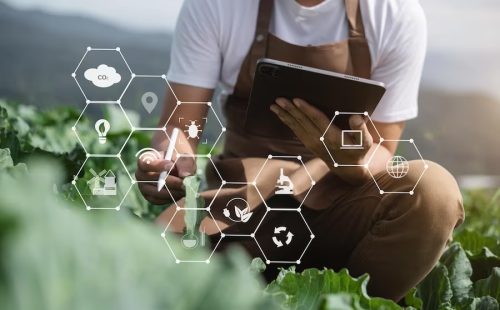 Social Enterprise Farming and Integration​