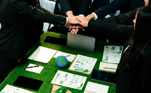 Creating and Delivering ESG Partnership Strategy​