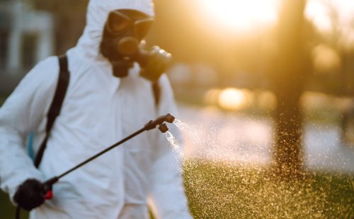 Cost Savings Strategies for ESG Pest Control Techniques​